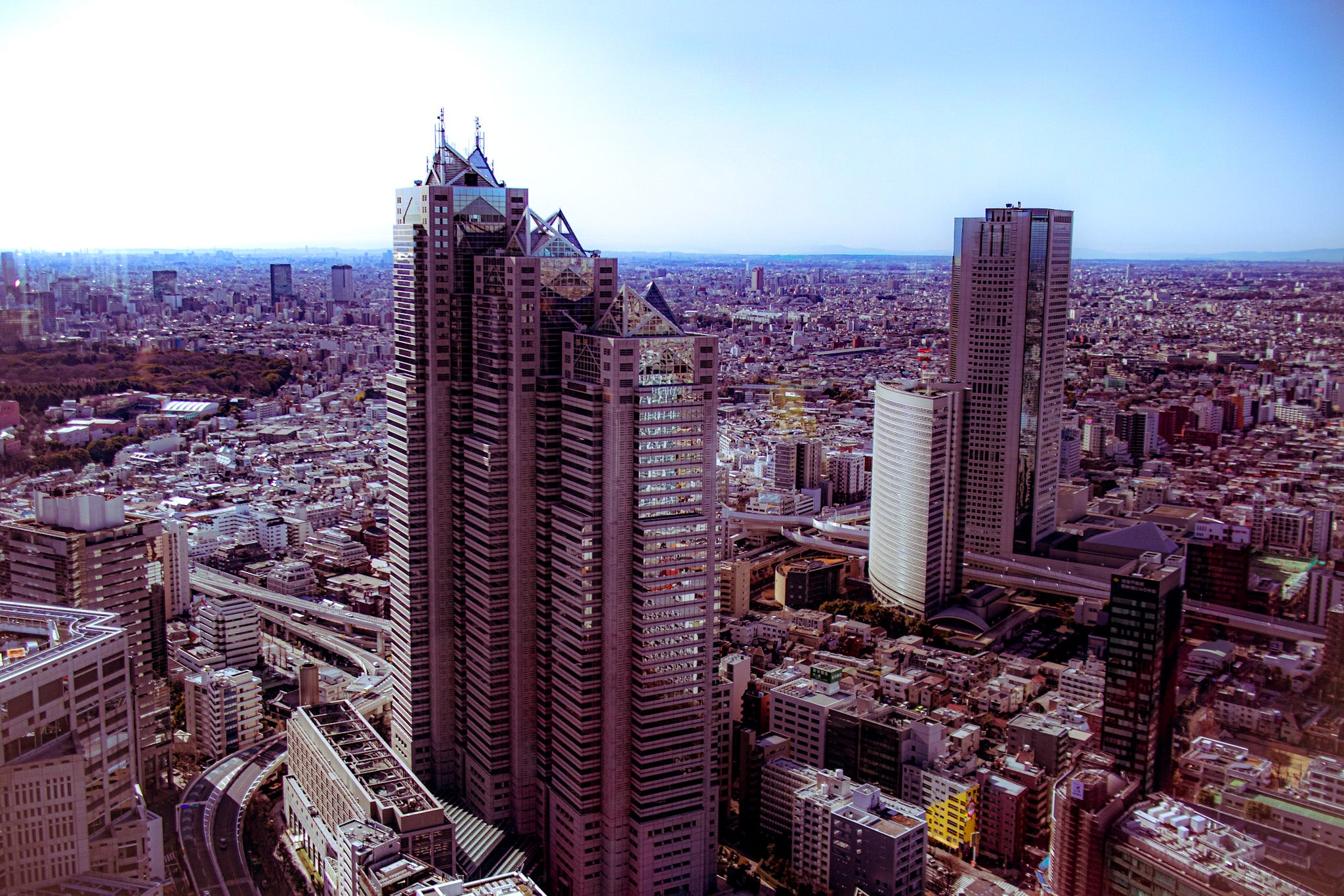 Shinjuku Skyline